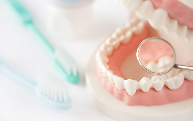 MFT(口腔筋機能療法)