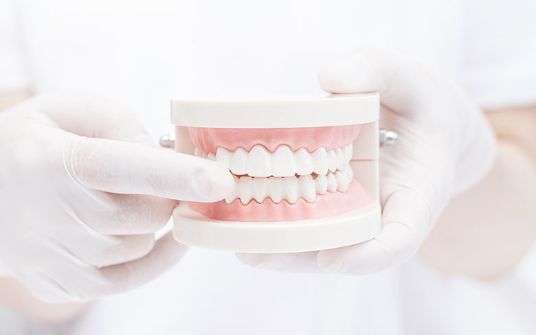 歯周病・予防治療